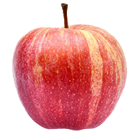 Royal Gala Apple